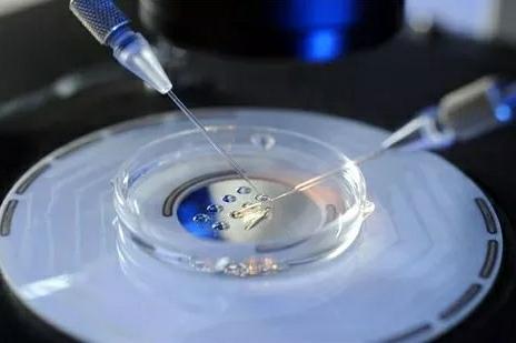 案例